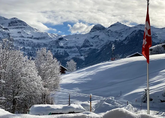 Bueehl Lenk